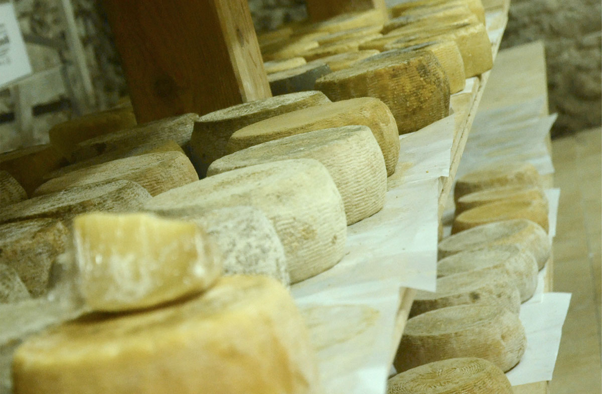 Pecorino from Farindola