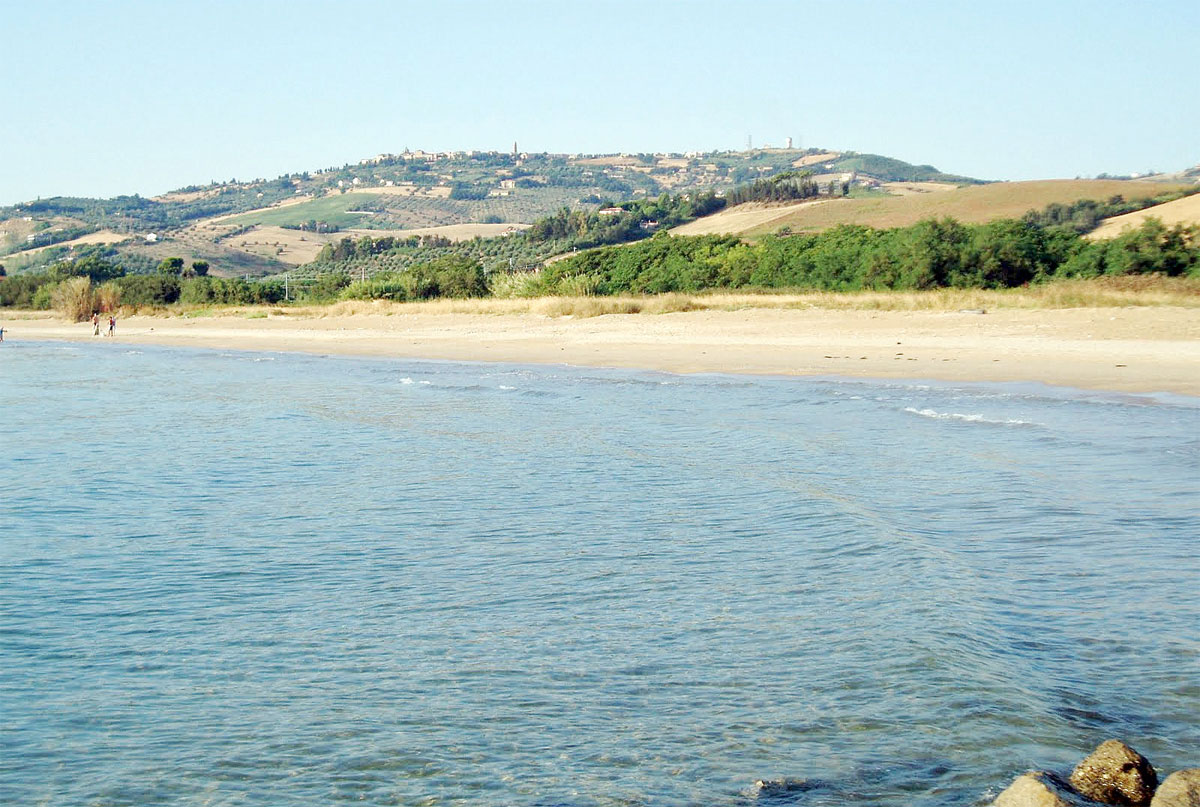 Borsacchio Reserve