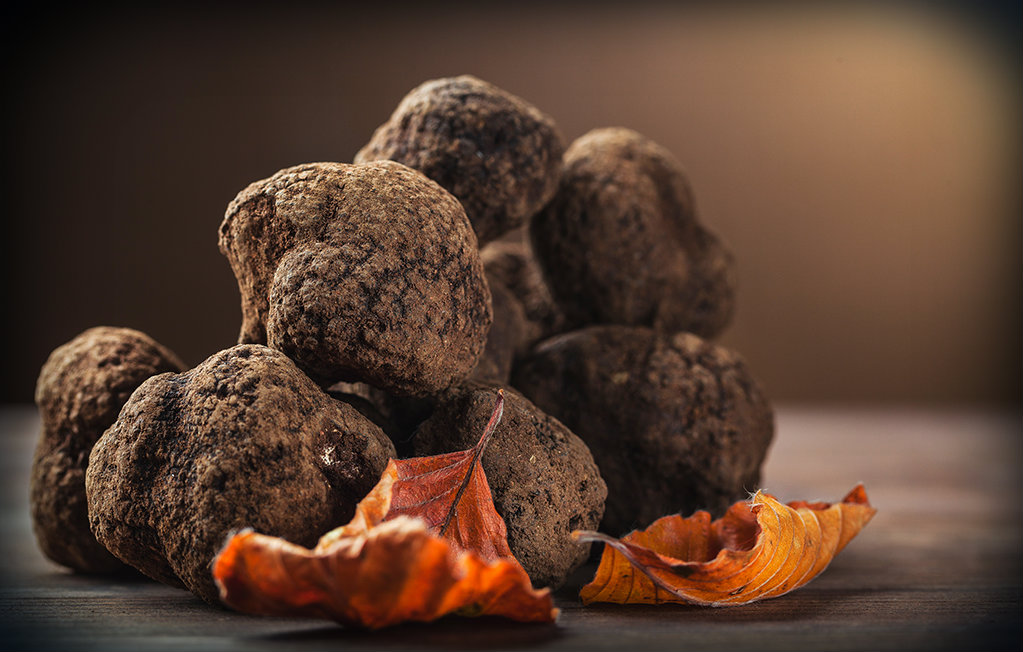 Abruzzo truffle